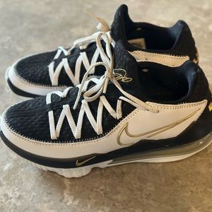 Lebron 17 Low shoes